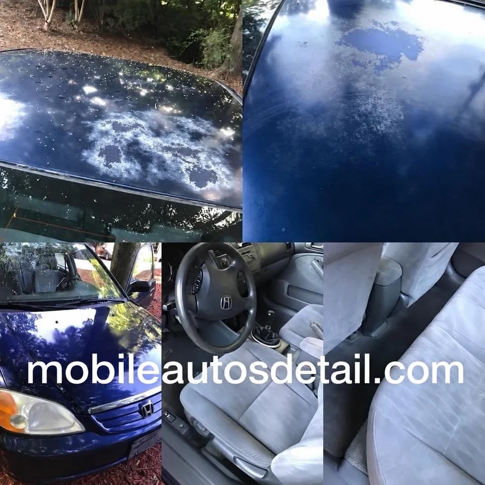 Blue car exterior detailing before and after comparison showing paint restoration